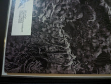 Load image into Gallery viewer, We Live #1 Trinity comics Metal  exclusive
